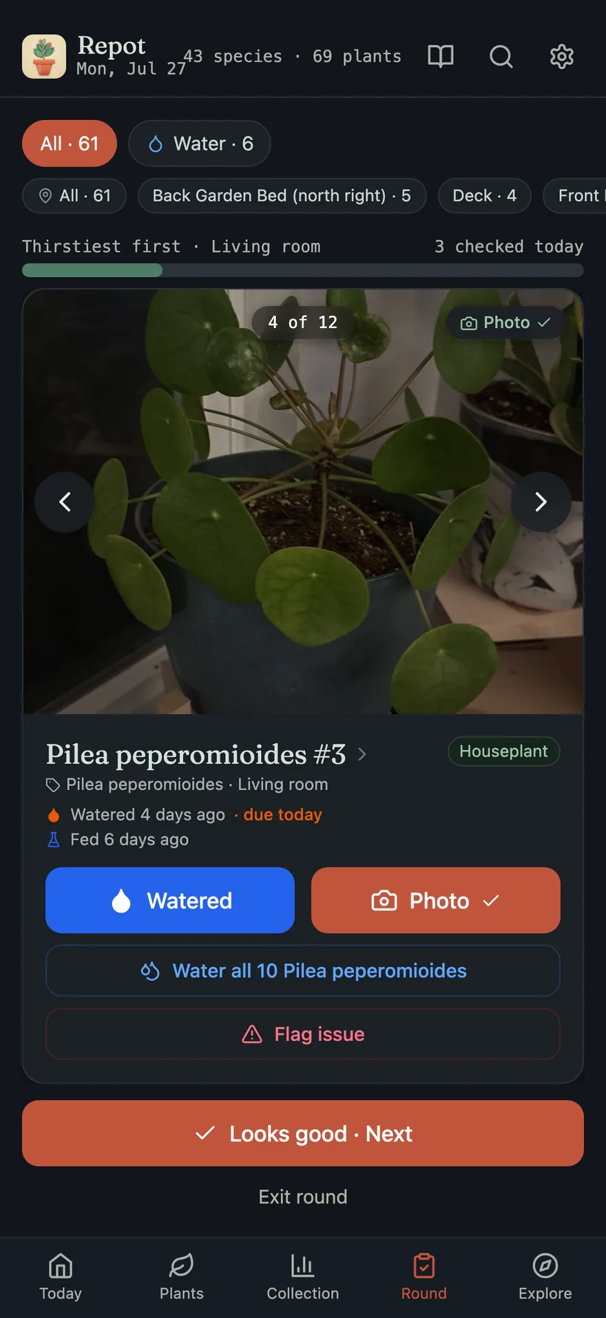 The daily care round, dark mode: a Pilea's full-photo card with Watered, Photo, and Water-all-10-Pileas buttons