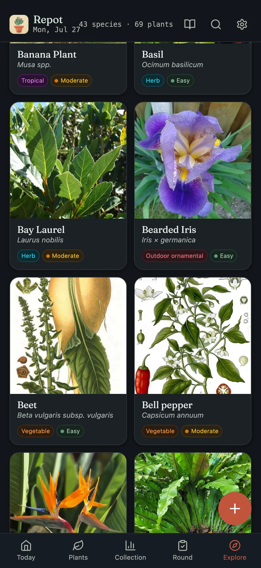 The Explore catalog, dark mode: a grid of plant guide cards, every one with a real photo