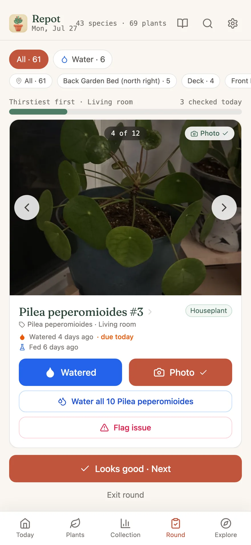 The daily care round, light mode: a Pilea's full-photo card with Watered, Photo, and Water-all-10-Pileas buttons