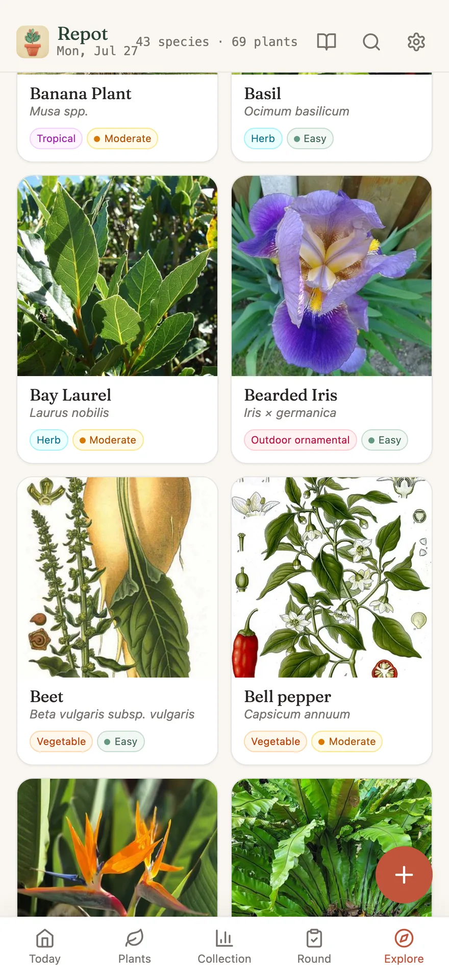 The Explore catalog, light mode: a grid of plant guide cards, every one with a real photo