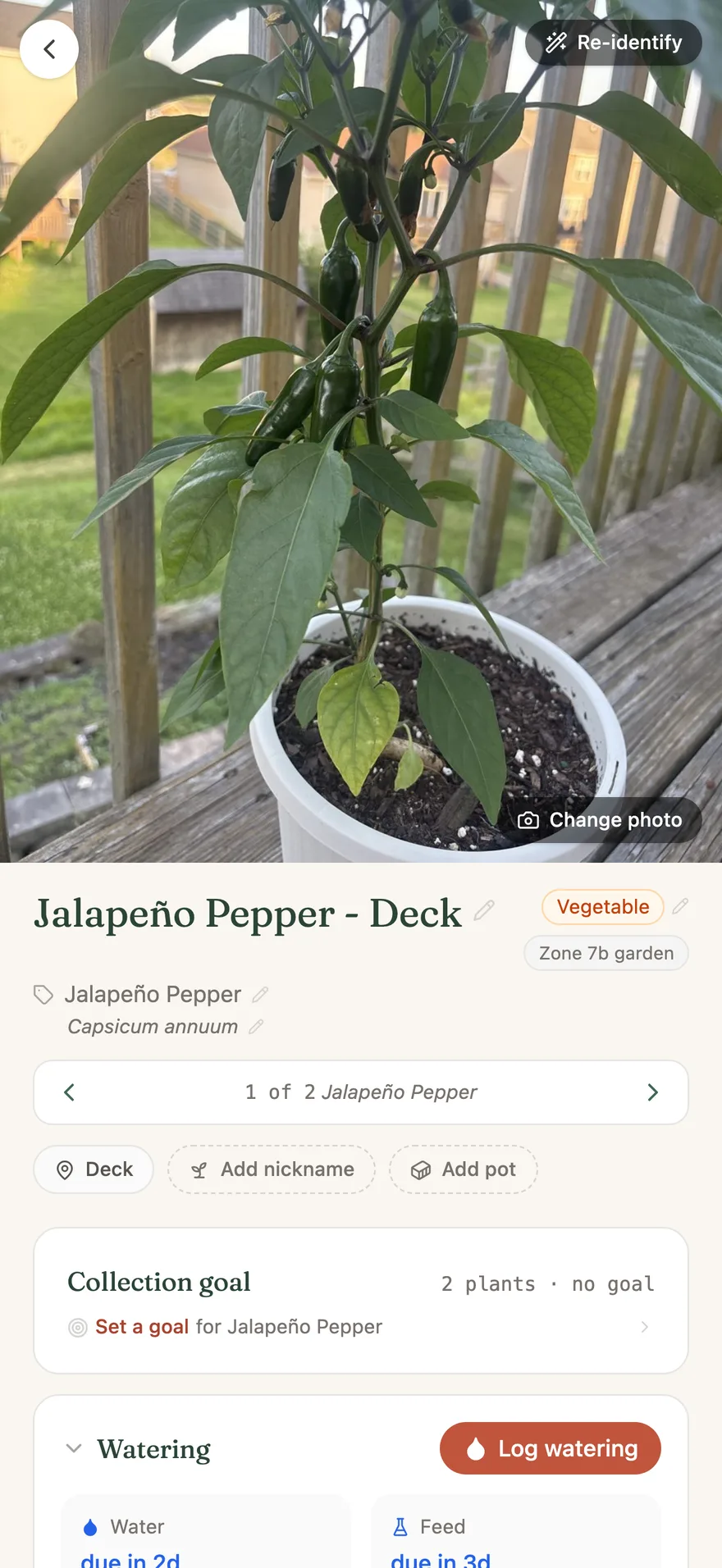 A plant's detail page, light mode: hero photo, USDA zone chip, watering schedule